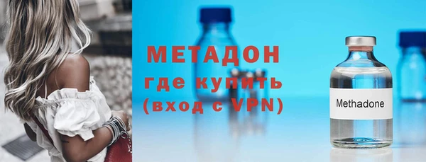 шишки Ессентукская