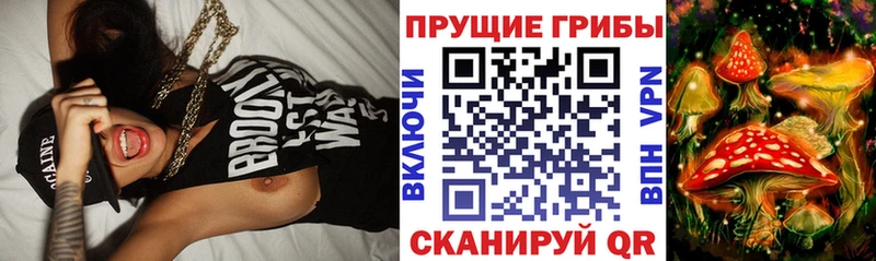 Псилоцибиновые грибы ЛСД  Купить где  Мамадыш 